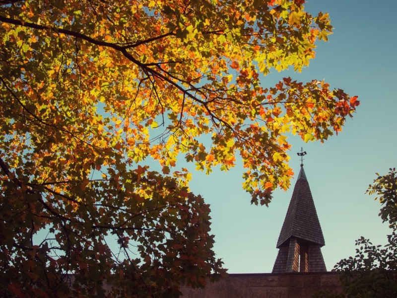 A tree with yellow leaves hangs over the steeple of a church.