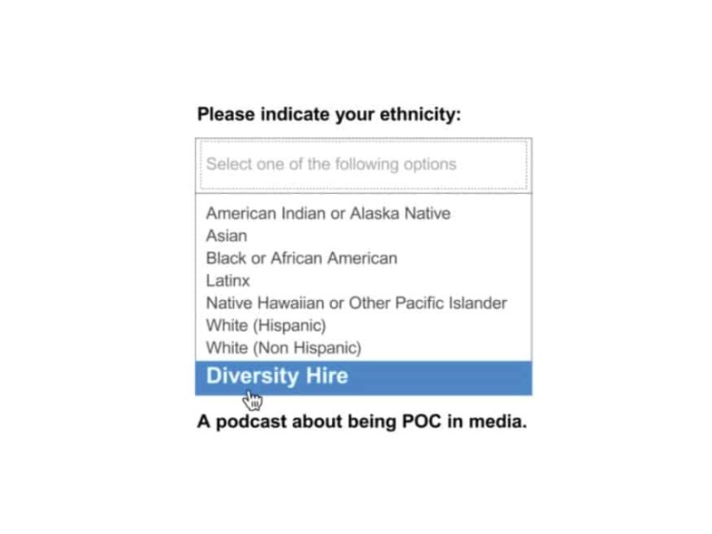 A screenshot that shows a "Please indicate your ethnicity" drop-down menu. Diversity Hire is listed as the bolded and selected option, with a caption underneath that reads "A podcast about being POC in media."