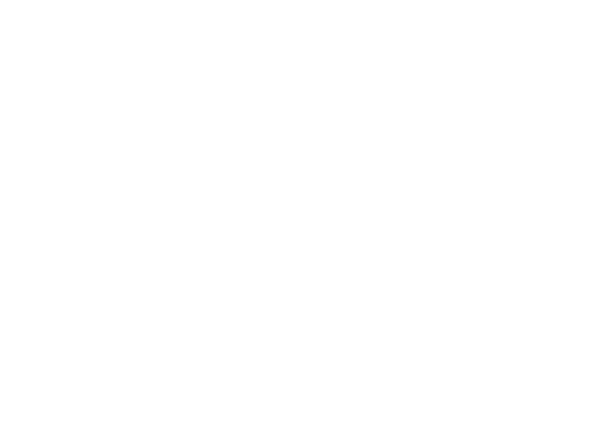 The Objective