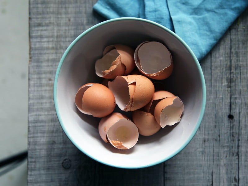 A photo of eggshells.