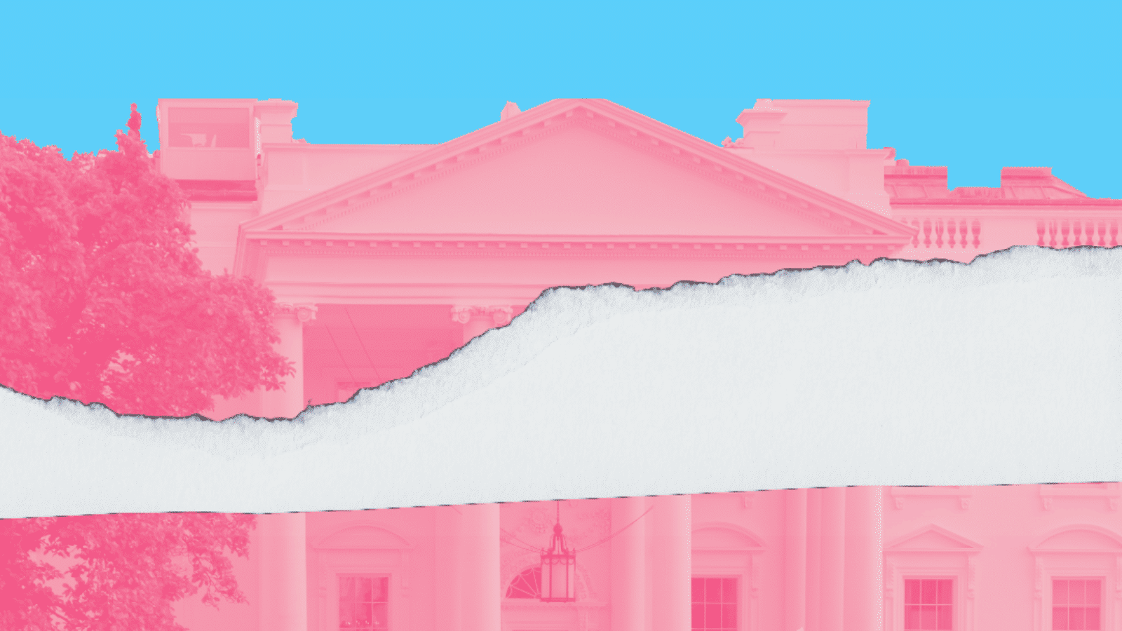 A torn paper effect on an edit of the White House in the trans flag pink against a background colored the blue from the trans flag.