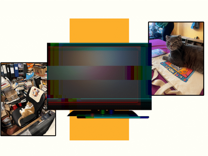 A blurred-out TV is framed by two photos of cats: on the left is an orange and white cat, Dr. Abraham Horatio Pickles, of the the Philadelphia bookstore The Book Trader. On the right is Sheldon of the Philadelphia Argentine Tango School, a gray cat with slightly narrowed eyes.