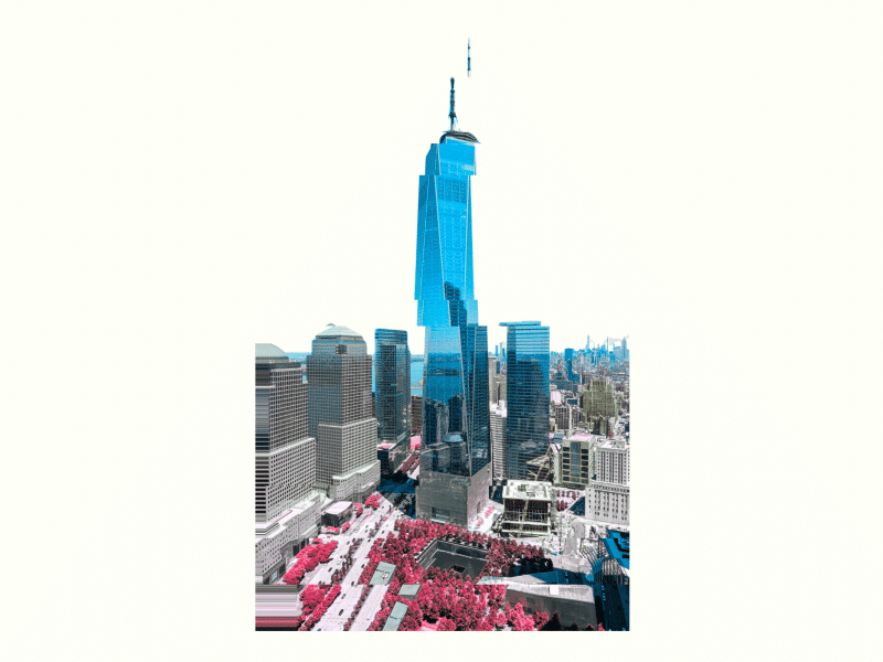 An edited version of the One World Trade Center rendered in the colors of the trans flag and skewed off-kilter.